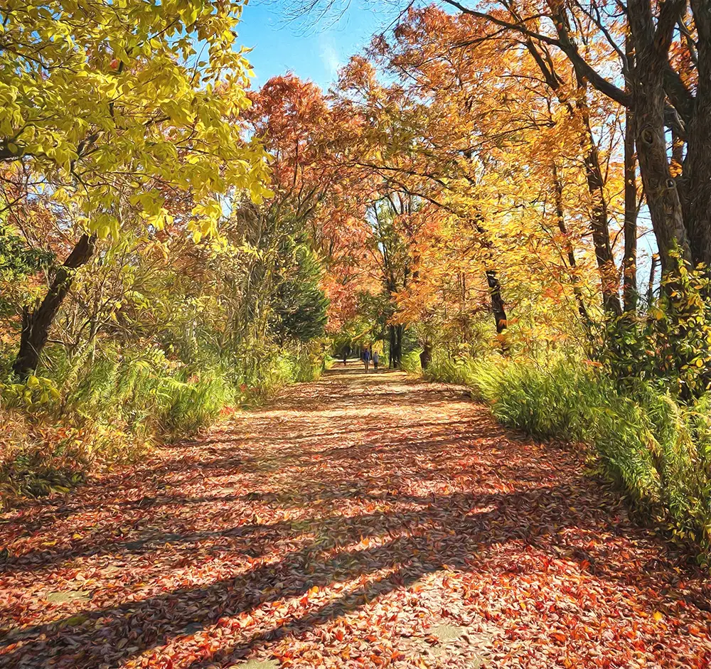 Image of a trail in autumn, slightly Impressionist look